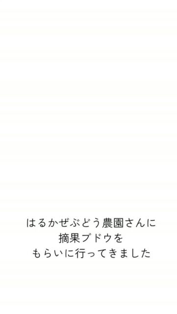 こんにちは😌
午後から雨の予定なのに、全然降らないんですが？☔💦
ちょっと涼しくはなったけど😗

今日もリールの勉強中です✌
この前、お隣の矢祭町でぶどうを栽培してる『はるかぜぶどう農園』さんにお邪魔して、摘果ブドウいただきました🙏✨
はるかぜぶどう農園さんは、同じく元地域おこし協力隊だったご夫婦です😄
卒業しても仲良くさせてもらってます😆

冷凍庫に入り切らないほど貰ったので、どんどん使わせていただきます💪💪
農園にお邪魔したときに地面に落ちてる実を見たら、かなり赤く乾燥してたんですよ
乾燥させた実を使ったことがなかったので、今年は乾燥摘果ぶどうにもチャレンジしていきます💪✨
乾燥させたらかなり体積が小さくなったので、追加乾燥させます👍✨

#福島県　#草木染め　#摘果ぶどう　#矢祭町　#８７０クラフト